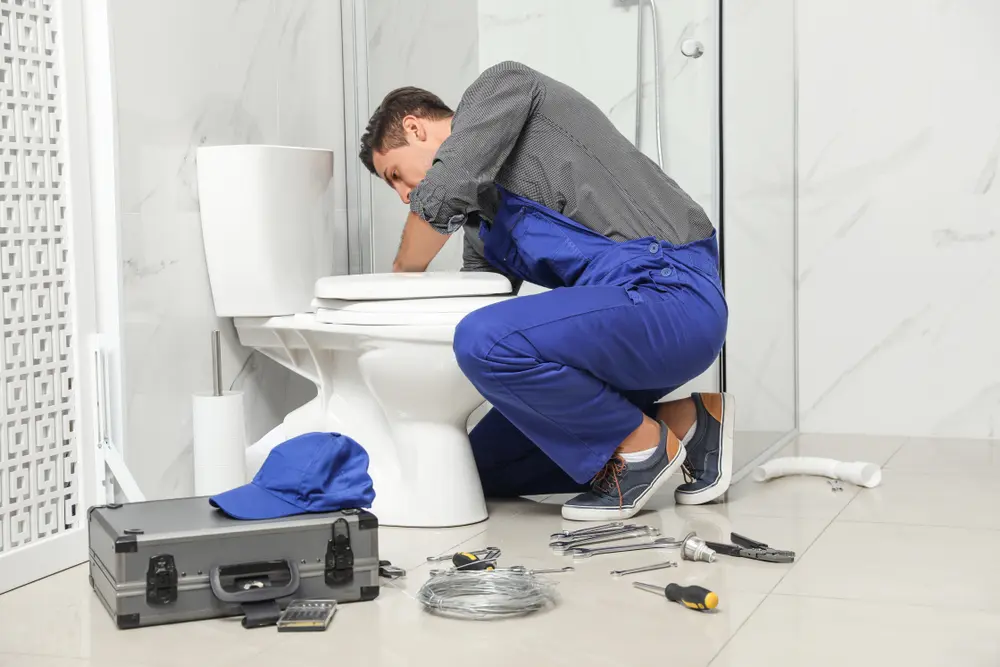 Toilet Installation in Waihee-Waiehu